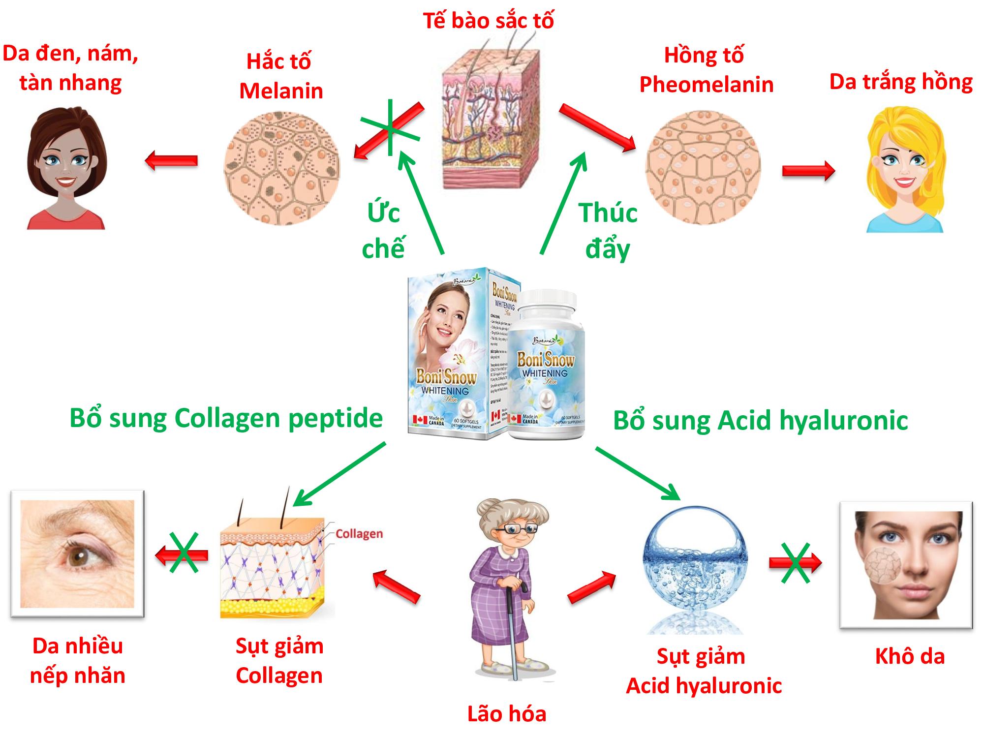 Sức khỏe - Viên trắng da BoniSnow mua ở đâu? BoniSnow giá bao nhiêu? (Hình 4).