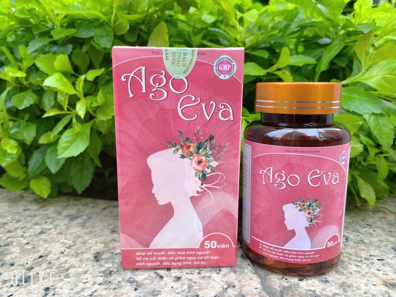 Cần biết - Ago Eva phương pháp điều trị viêm phụ khoa, hỗ trợ điều hoà kinh nguyệt (Hình 4).