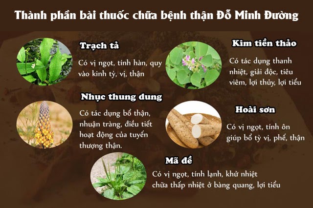 Sức khỏe - Khám phá bài thuốc nam Đỗ Minh Đường - “Khắc tinh” các chứng bệnh thận  (Hình 4).