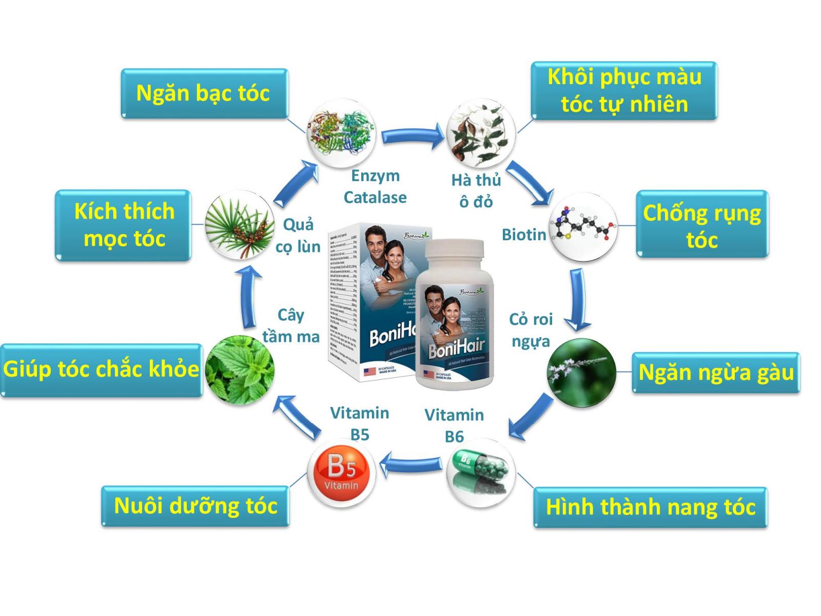 Sức khỏe - BoniHair – Bí quyết cho mái tóc đen dày bất chấp tuổi tác (Hình 3).
