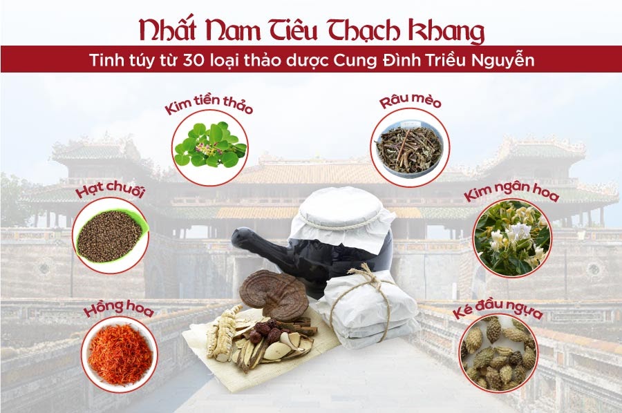 Cần biết - Chuyên gia đánh giá: Nhất Nam Tiêu Thạch khang bài thuốc đột phá trong tiêu sỏi tiết niệu bằng YHCT (Hình 2).