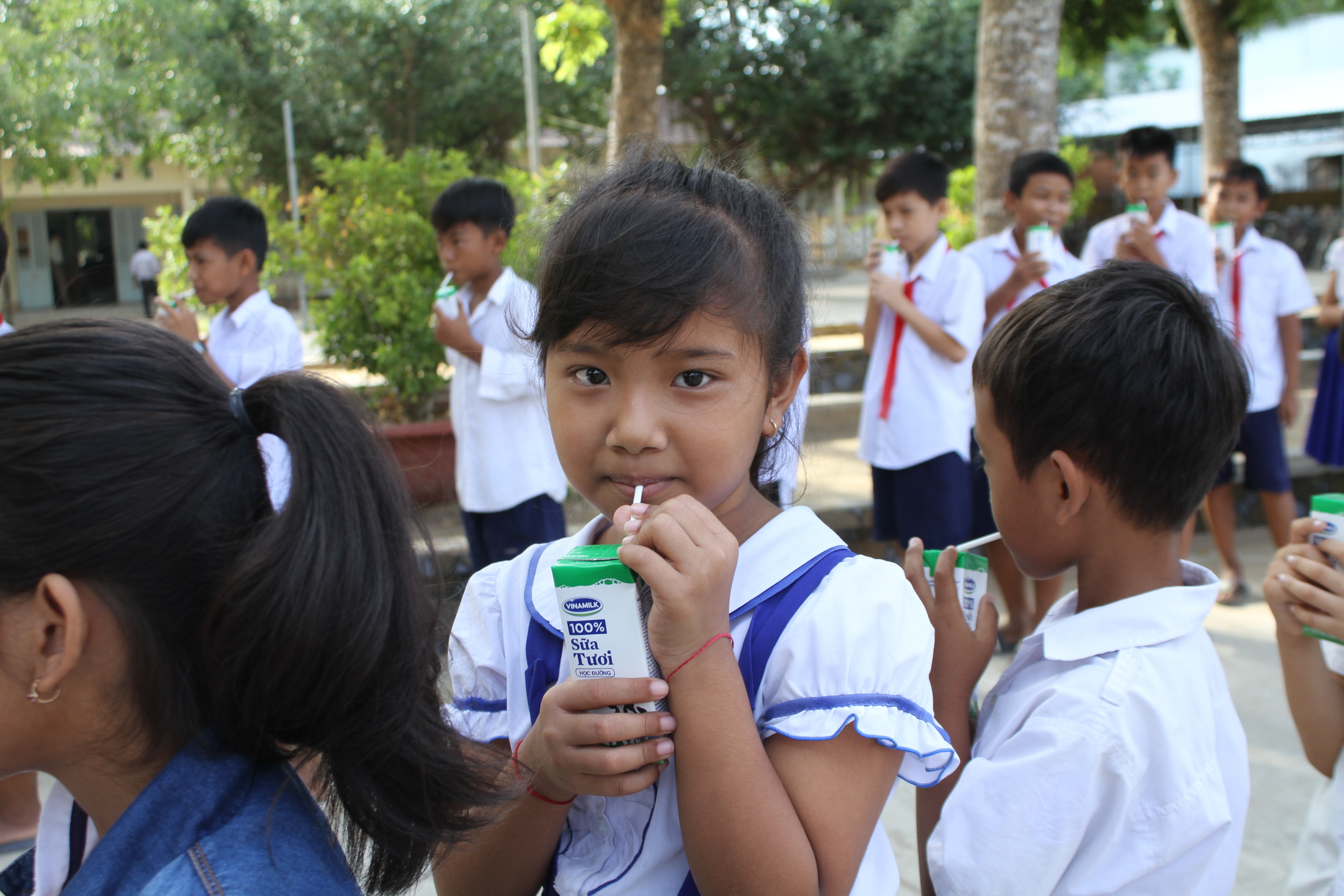 Tiêu dùng & Dư luận - Vinamilk tiếp tục được chọn là đơn vị triển khai sữa học đường tại Trà Vinh (Hình 2).