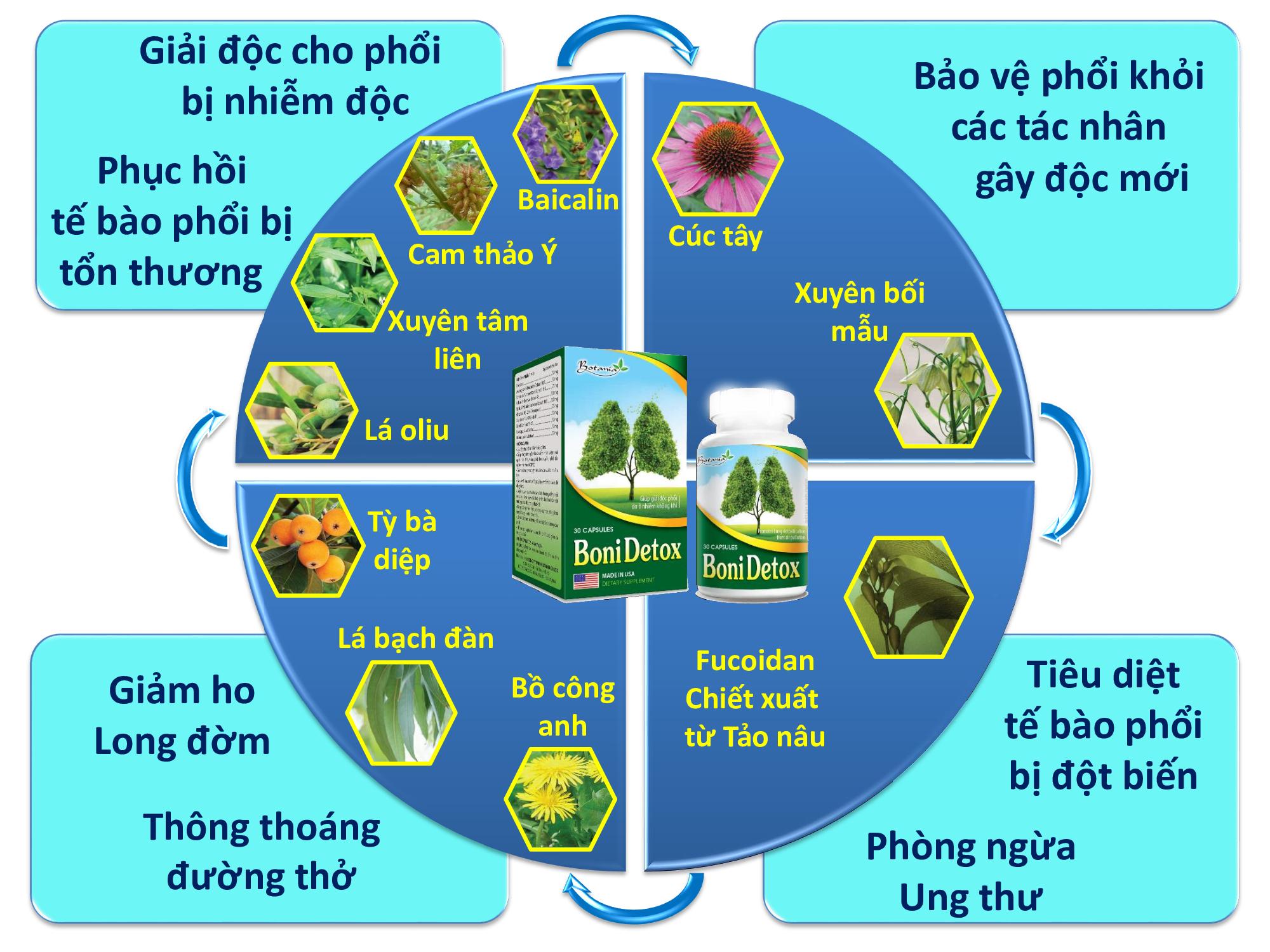 Sức khỏe - BoniDetox – Bảo bối giải độc và phòng ung thư phổi cho người hút thuốc lá (Hình 7).