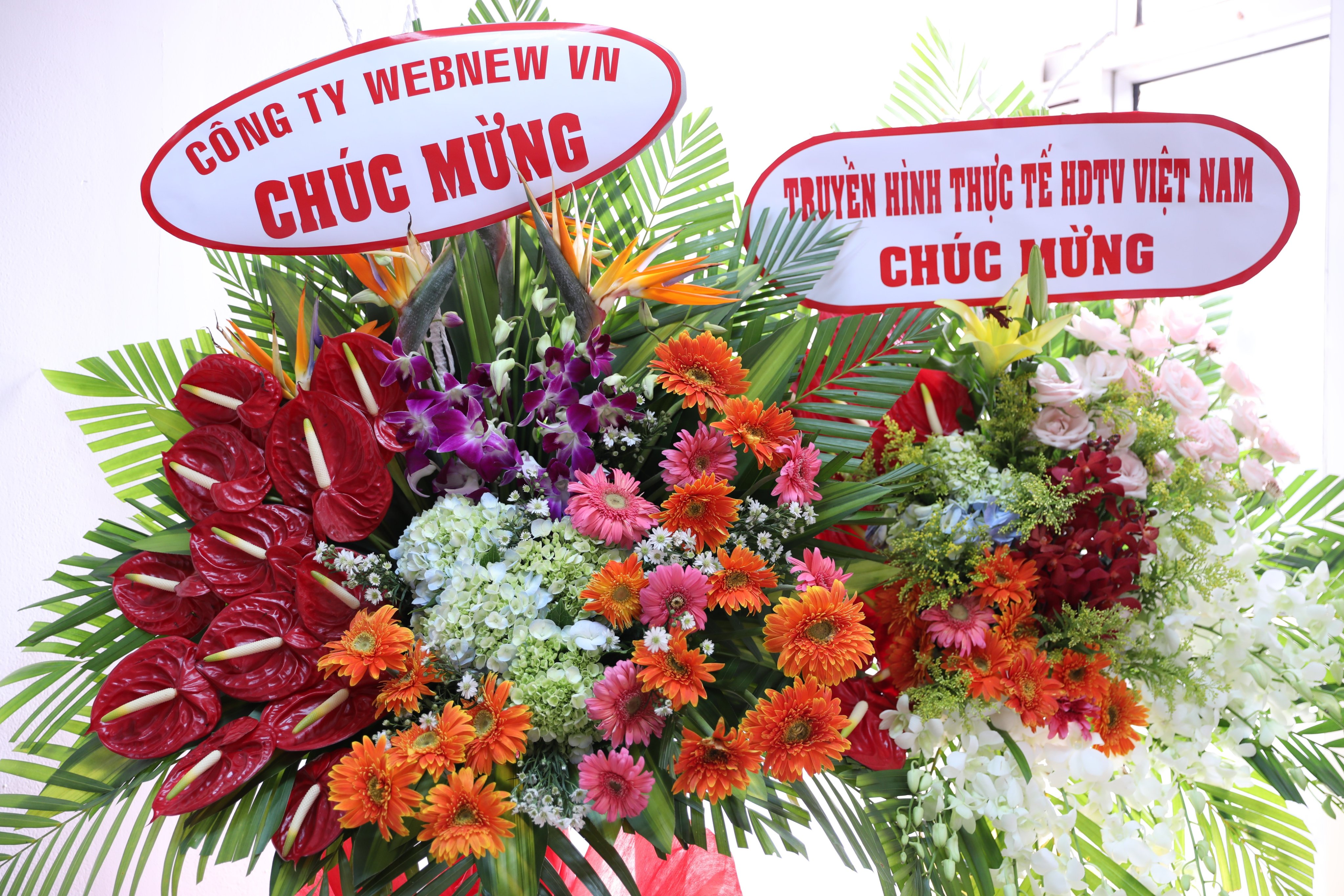 Cần biết - Khai trương Trung tâm Công nghệ Duca Việt Nam (Hình 2).