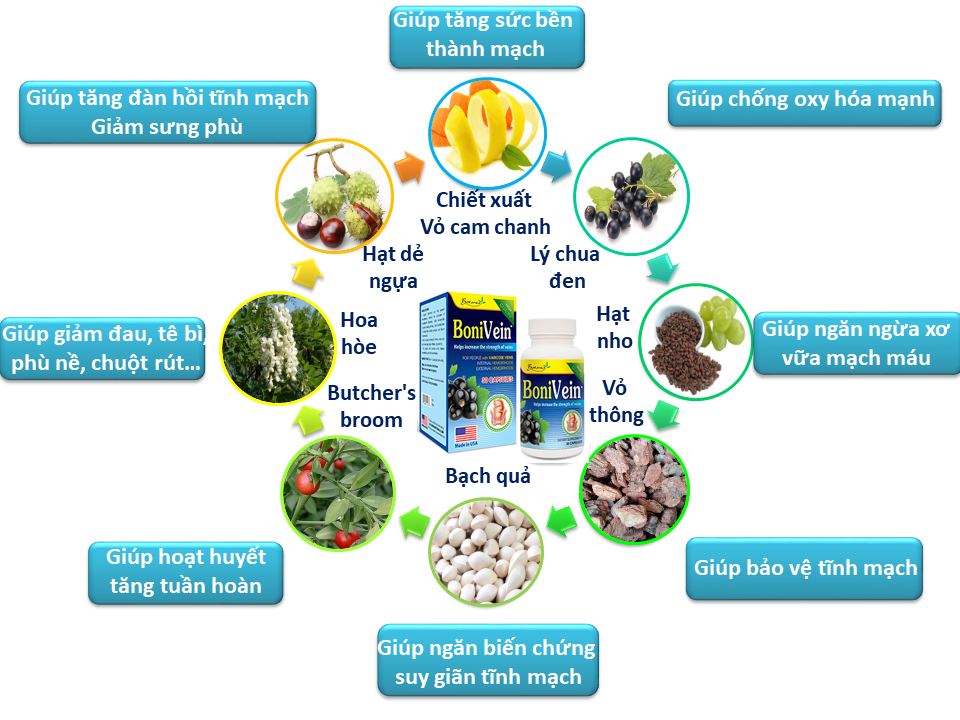 Sức khỏe - BoniVein – Bí quyết “ đánh bại” cả bệnh trĩ và suy giãn tĩnh mạch chân (Hình 4).