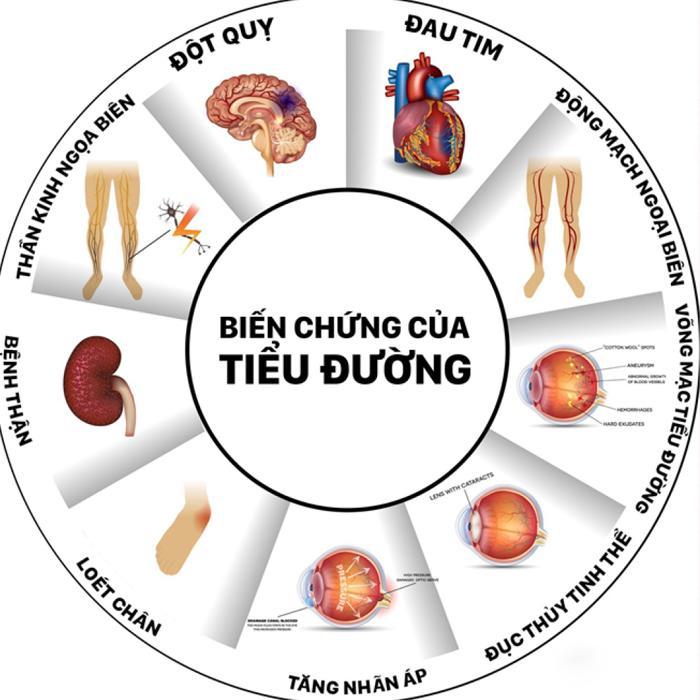 Cần biết - Thảo dược Bepharin có tốt không và những điều cần biết (Hình 3).