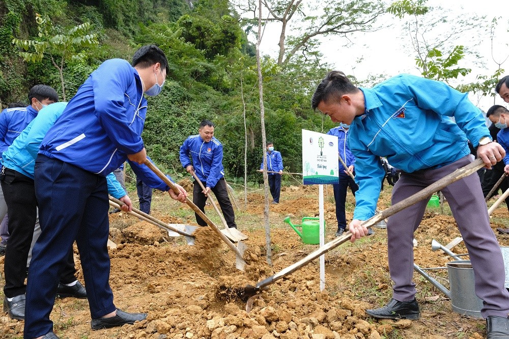 Tiêu dùng & Dư luận - Hành trình triệu cây vươn cao cho Việt Nam xanh của Vinamilk (Hình 2).