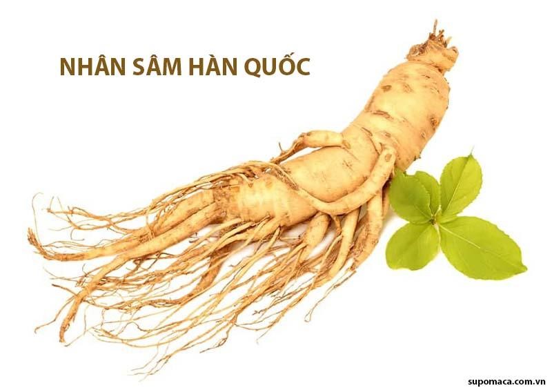 Cần biết - Bộ ba sâm dược quý giúp nam giới vững bản lĩnh, đỉnh phong độ (Hình 4).