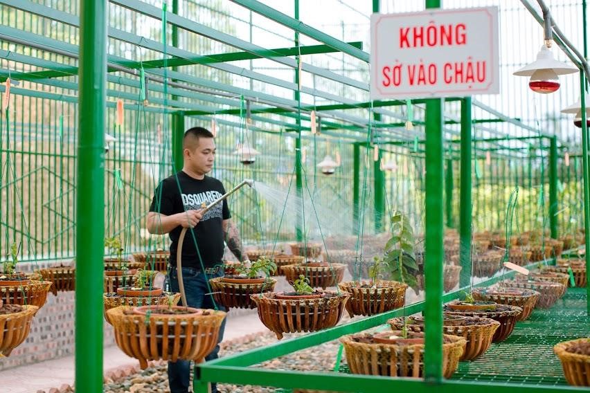 Cần biết - Nghệ nhân Lưu Đình Thảo – Chia sẻ cách ghép lan đúng cách và khỏe mạnh (Hình 5).