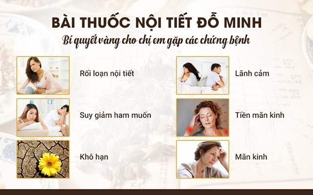 Cần biết - Bài thuốc Nội tiết Đỗ Minh Đường trị rối loạn nội tiết, cải thiện sinh lý nữ tốt không? (Hình 2).