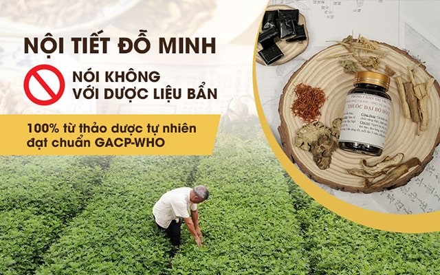 Cần biết - Bài thuốc Nội tiết Đỗ Minh Đường trị rối loạn nội tiết, cải thiện sinh lý nữ tốt không? (Hình 4).