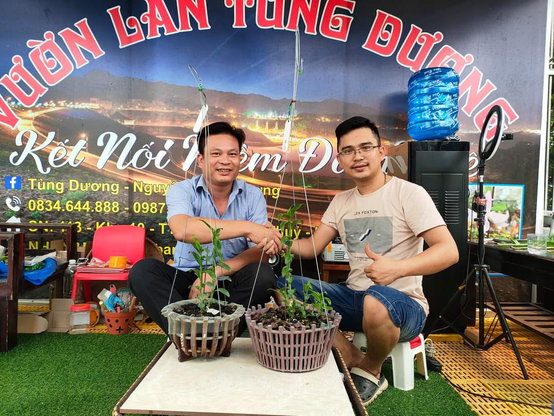 Cần biết - Ông chủ vườn lan 8X Tùng Dương chia sẻ bí quyết trồng lan thành công (Hình 7).