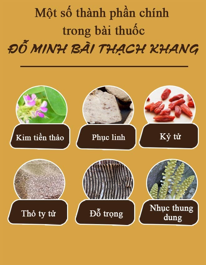 Cần biết - Đỗ Minh Bài Thạch Khang - Bài thuốc bí truyền giúp người Việt 'tránh xa' sỏi thận tiết niệu (Hình 2).