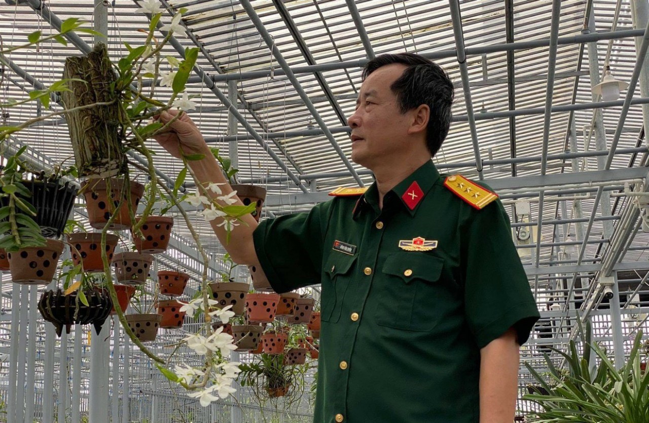 Cần biết - Nghệ nhân Đồng Chiến chia sẻ về kỹ thuật trồng và chăm sóc hoa lan