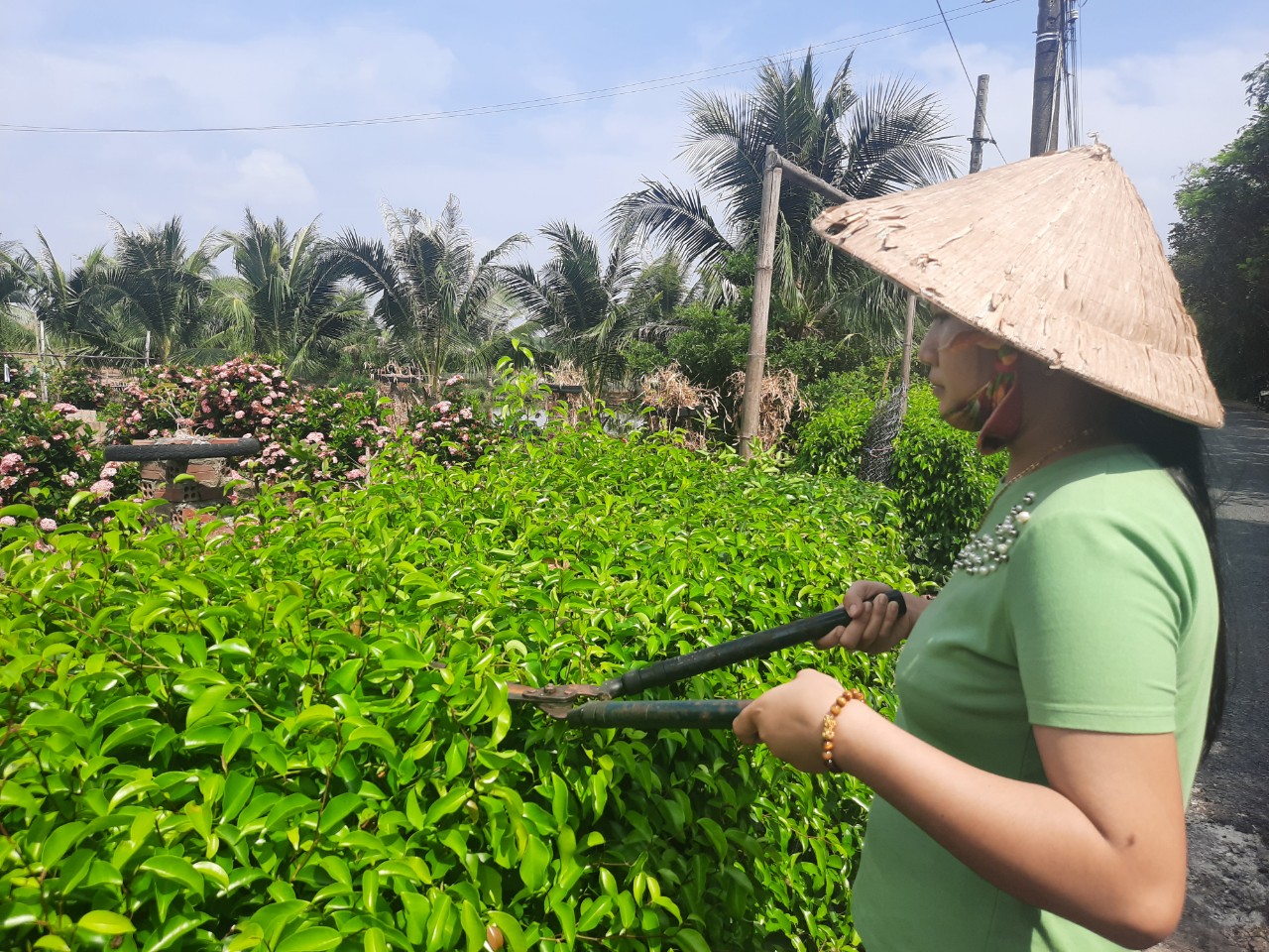 Đời sống - Cà Mau: Nhìn lại 10 năm xây dựng nông thôn mới