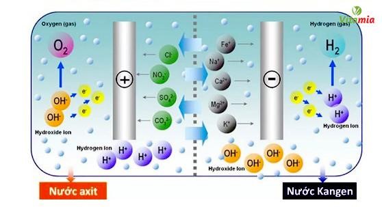 Cần biết - Nước hydrogen và công nghệ tạo nước Hydrogen từ máy điện giải ion kiềm (Hình 4).