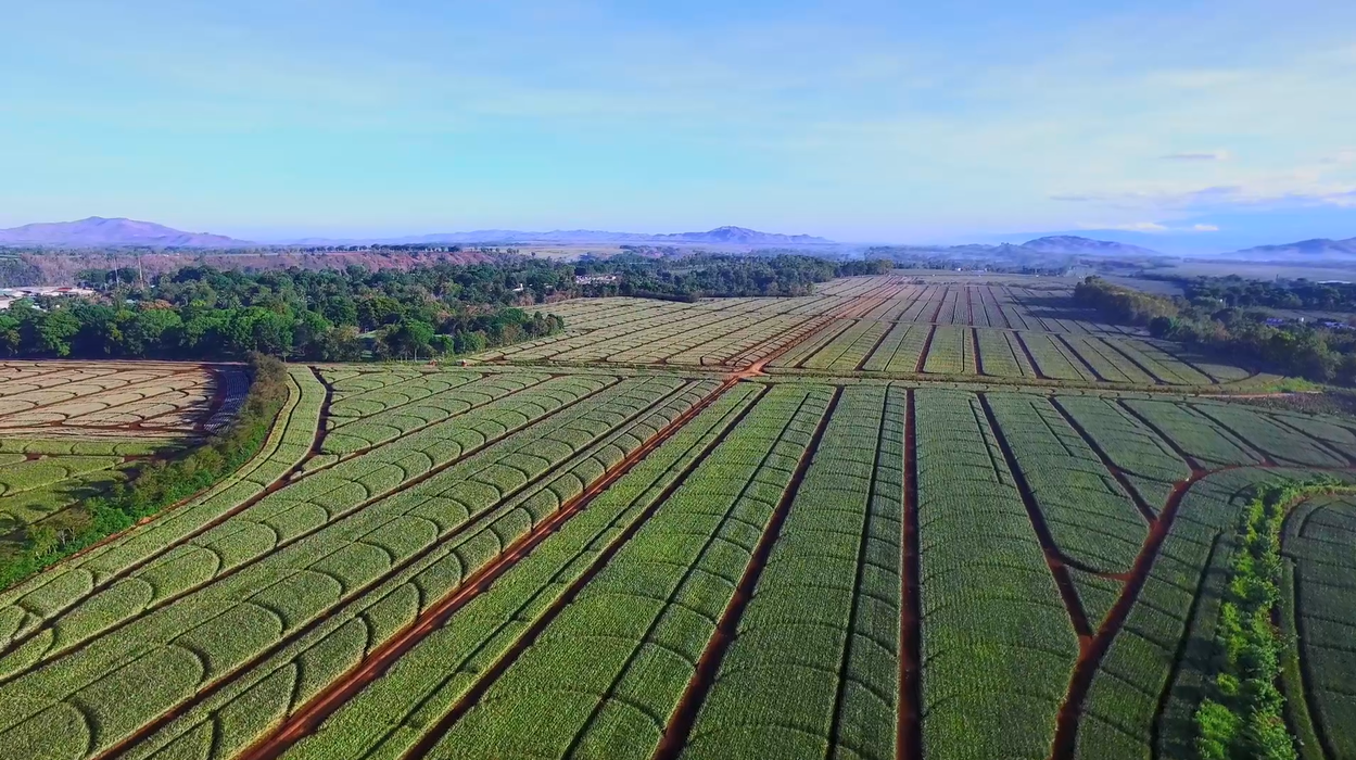 Tiêu dùng & Dư luận - Vinamilk công bố đối tác liên doanh tại Phillipines, sản phẩm thương mại sẽ lên kệ vào T9/2021 (Hình 3).