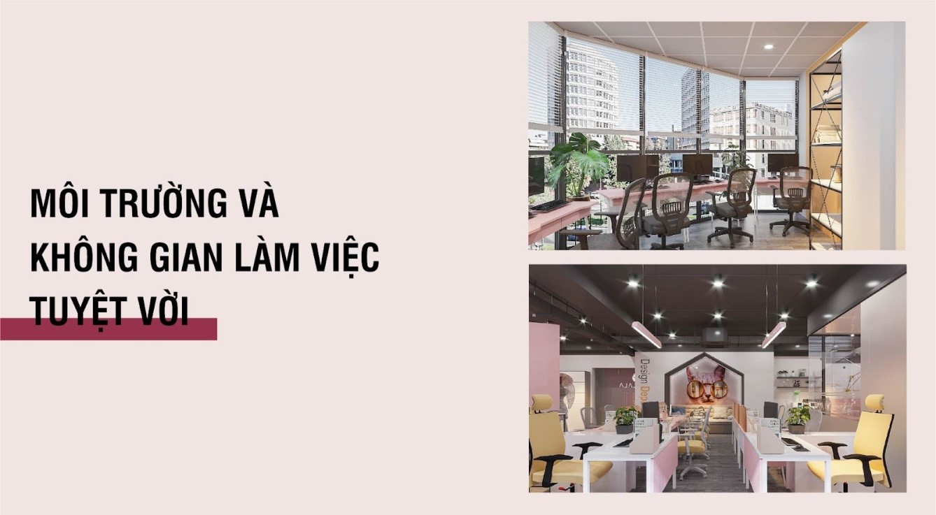 Cần biết - MiaLala: Tự hào là môi trường làm việc đáng mơ ước của các bạn trẻ (Hình 5).