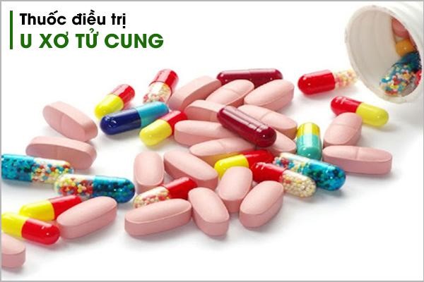 Sức khỏe - Xua tan nỗi lo u xơ tử cung nhờ Nga Phụ Khang (Hình 2).