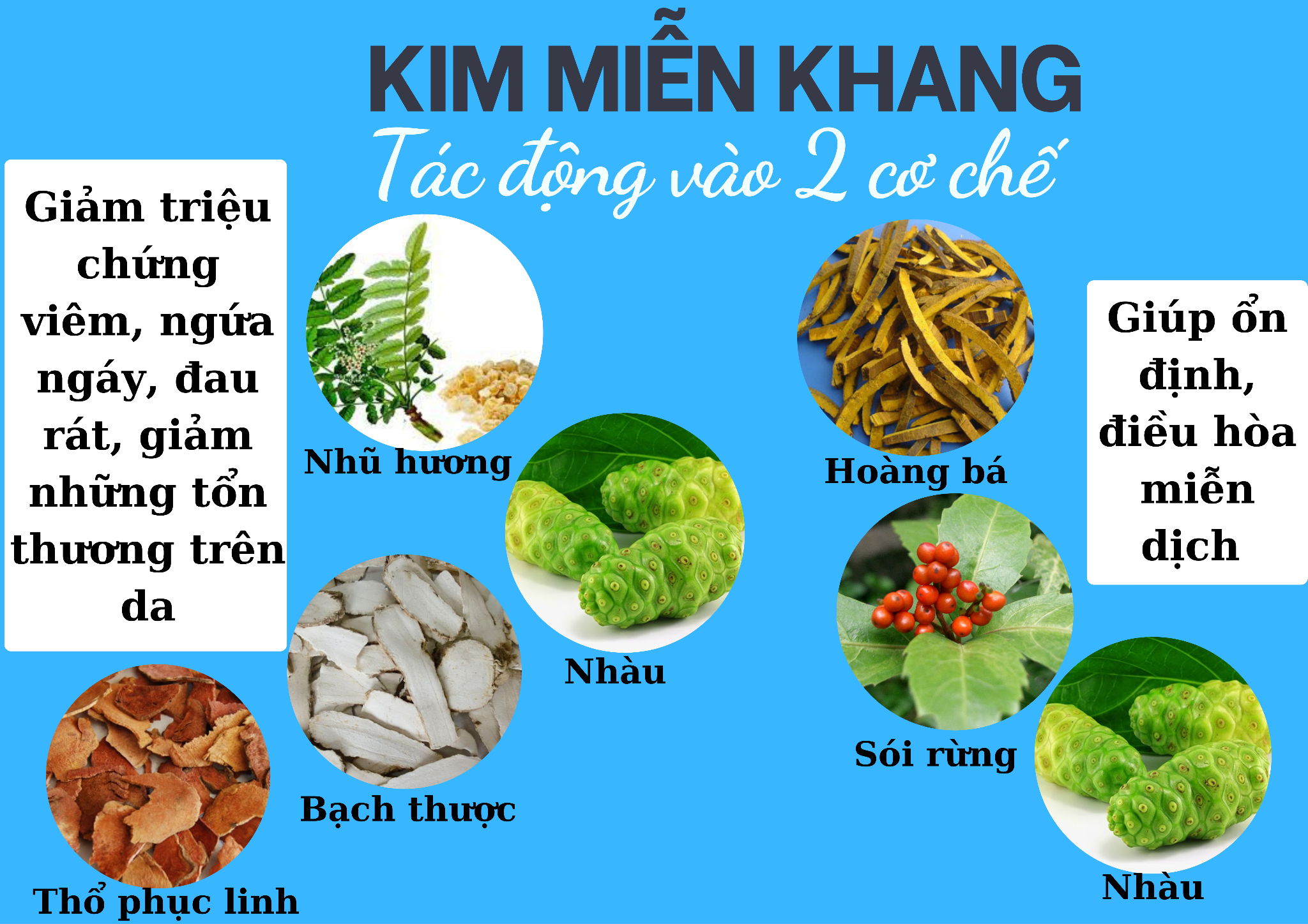 Sức khỏe - Kim Miễn Khang & Explaq - Cải thiện vảy nến da đầu hiệu quả  (Hình 3).