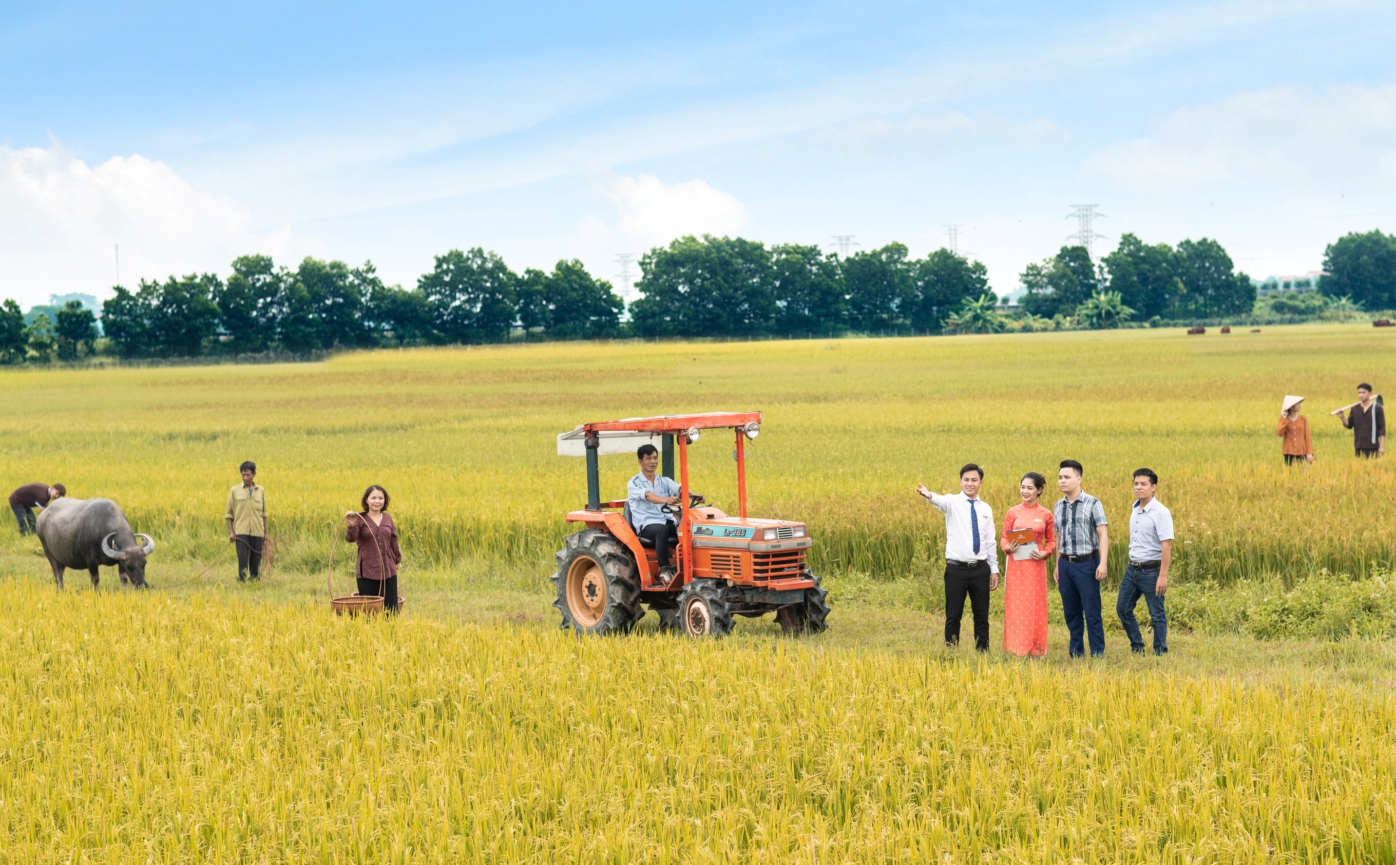 Tài chính - Ngân hàng - LienVietPostBank: Cho vay nông nghiệp là ưu tiên hàng đầu (Hình 2).