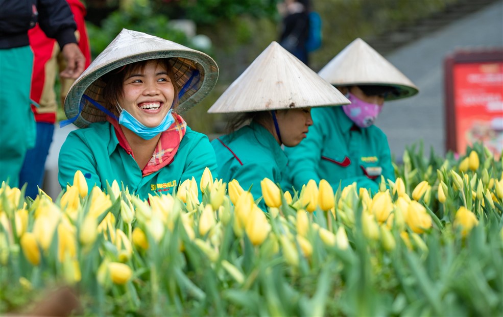 Cần biết - Sun Group và hành trình vượt qua “giông bão” (Hình 4).