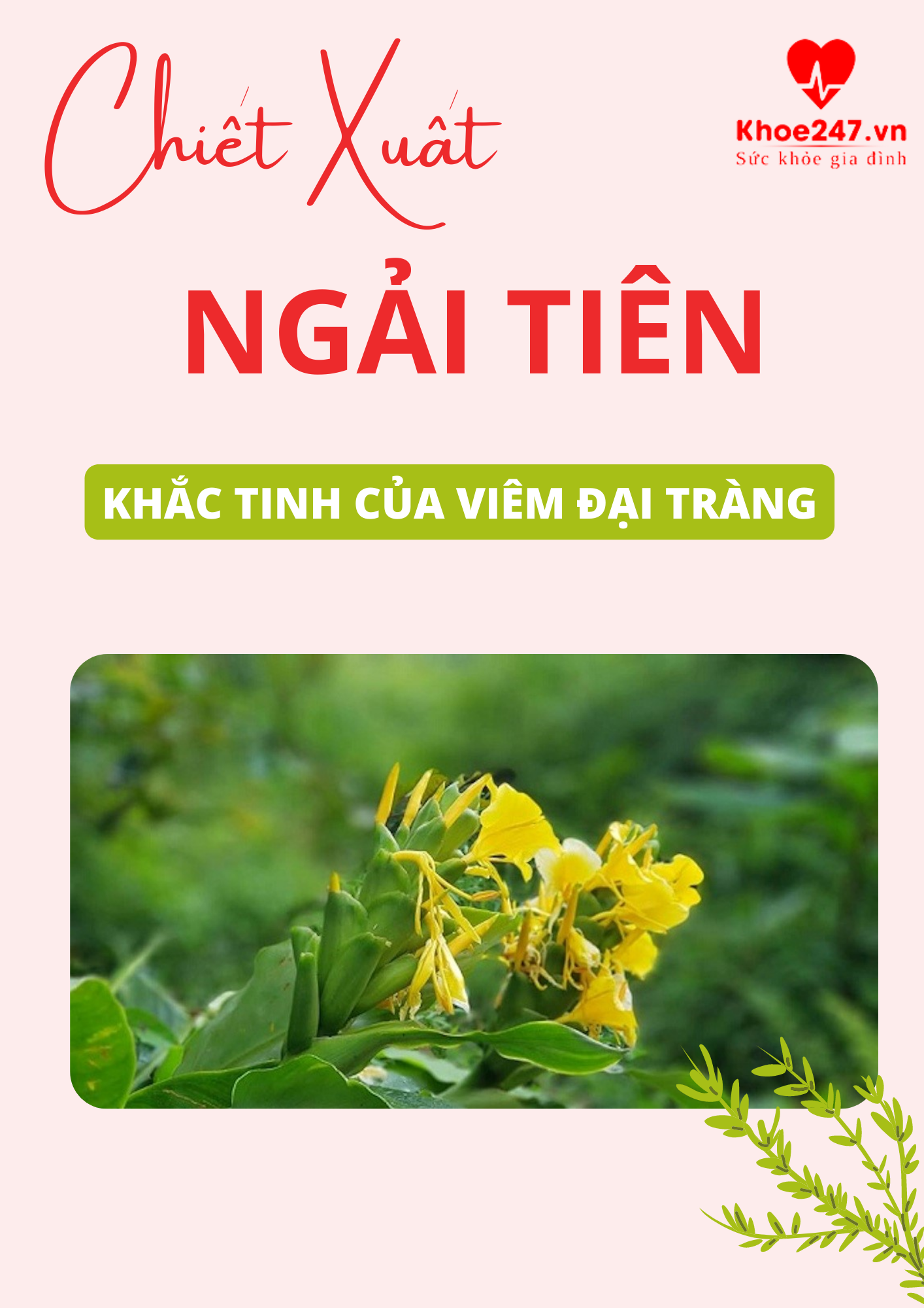 Cần biết - Viêm đại tràng – Căn bệnh ám ảnh nhiều người (Hình 2).