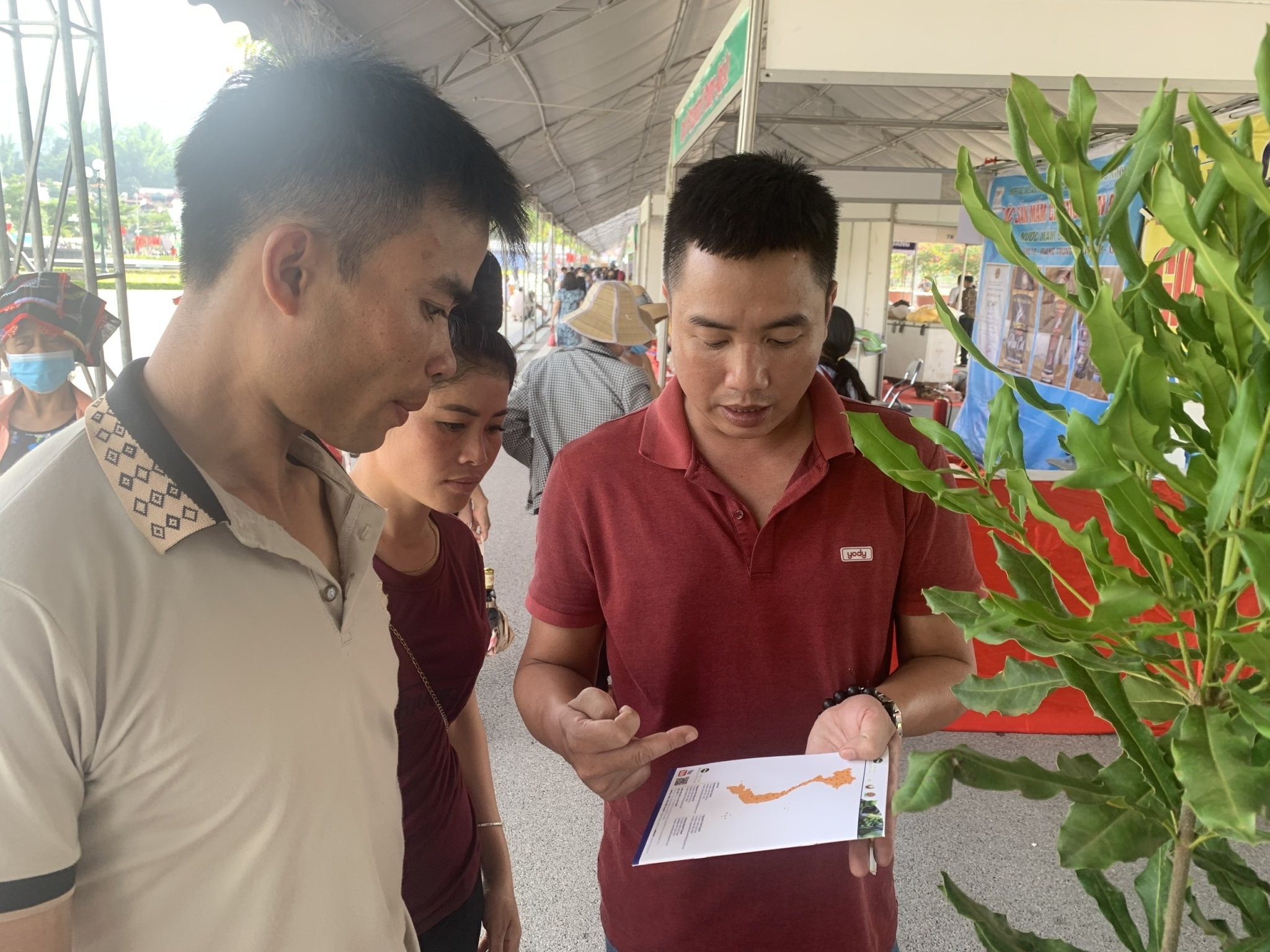 Kinh tế - 'Nữ hoàng quả khô' mắc ca 'hút khách' ở festival trái cây lớn nhất vùng Tây Bắc  (Hình 4).