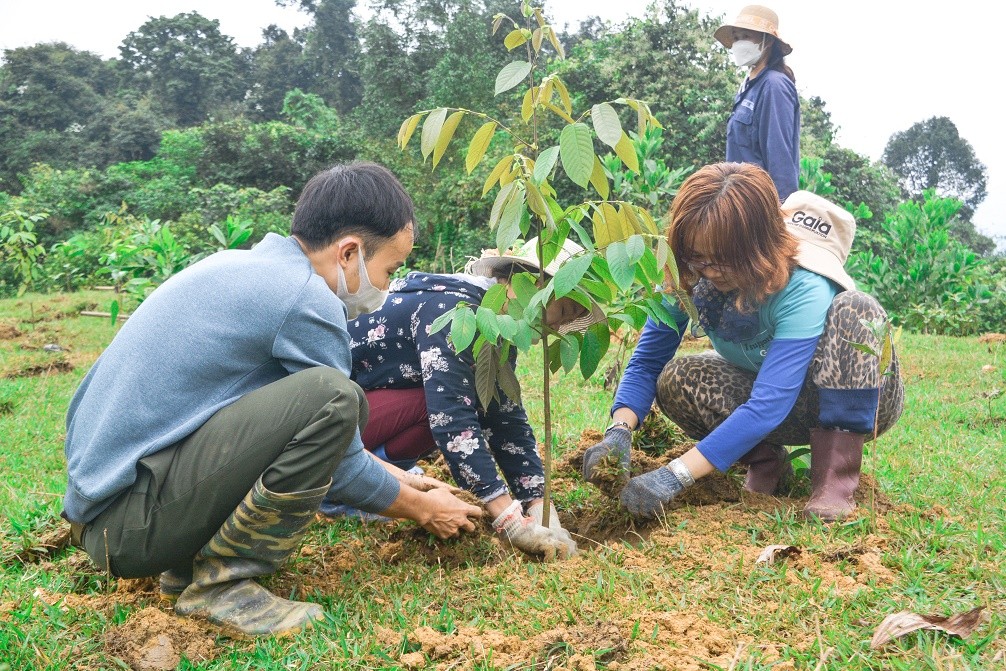 Cần biết - Manulife cùng khách hàng trồng rừng, hướng tới một tương lai bền vững 