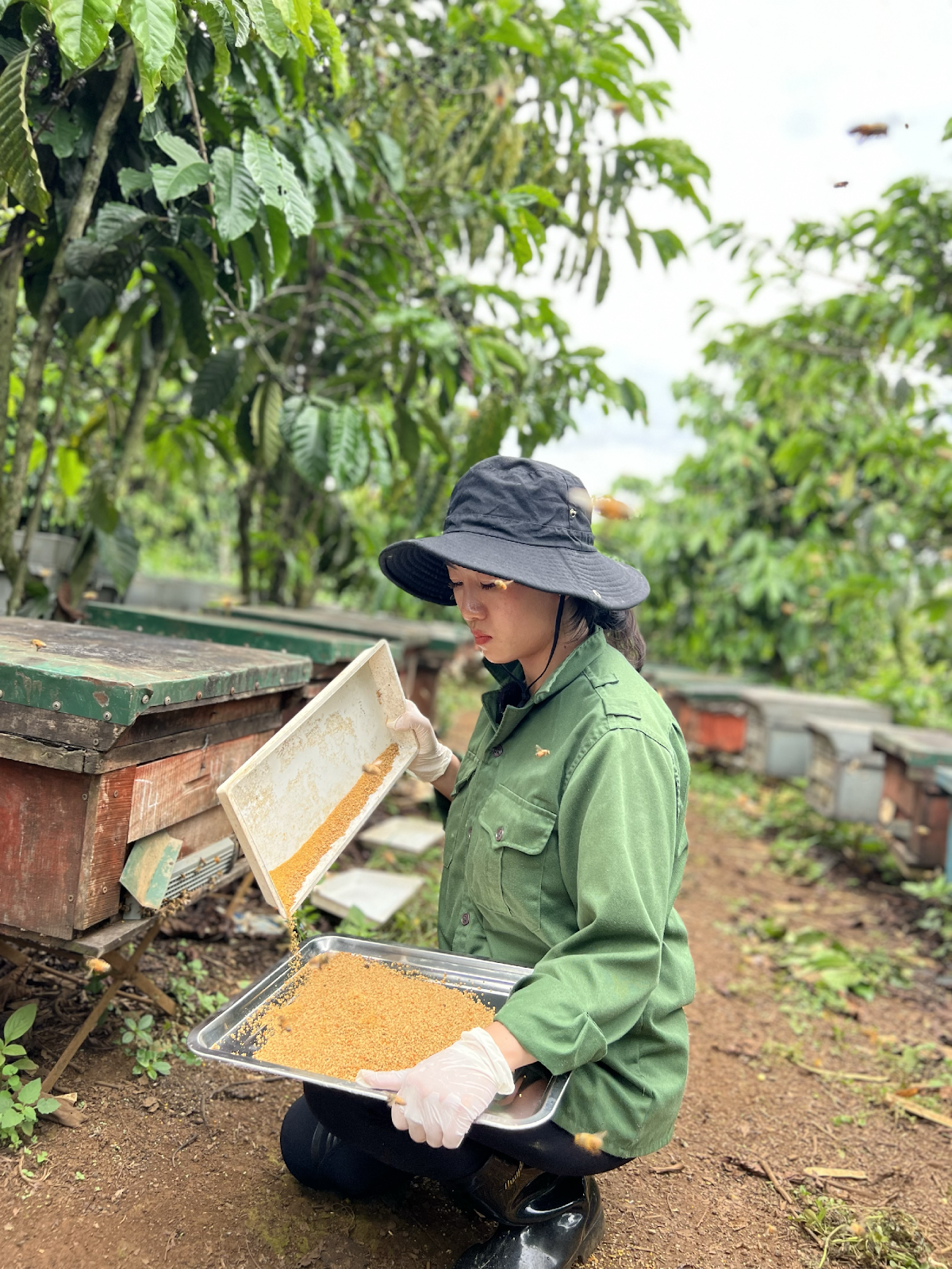 Cần biết - Lý giải nguyên do cho sức hút của Thuận Thiên - shop 2 Chị Em