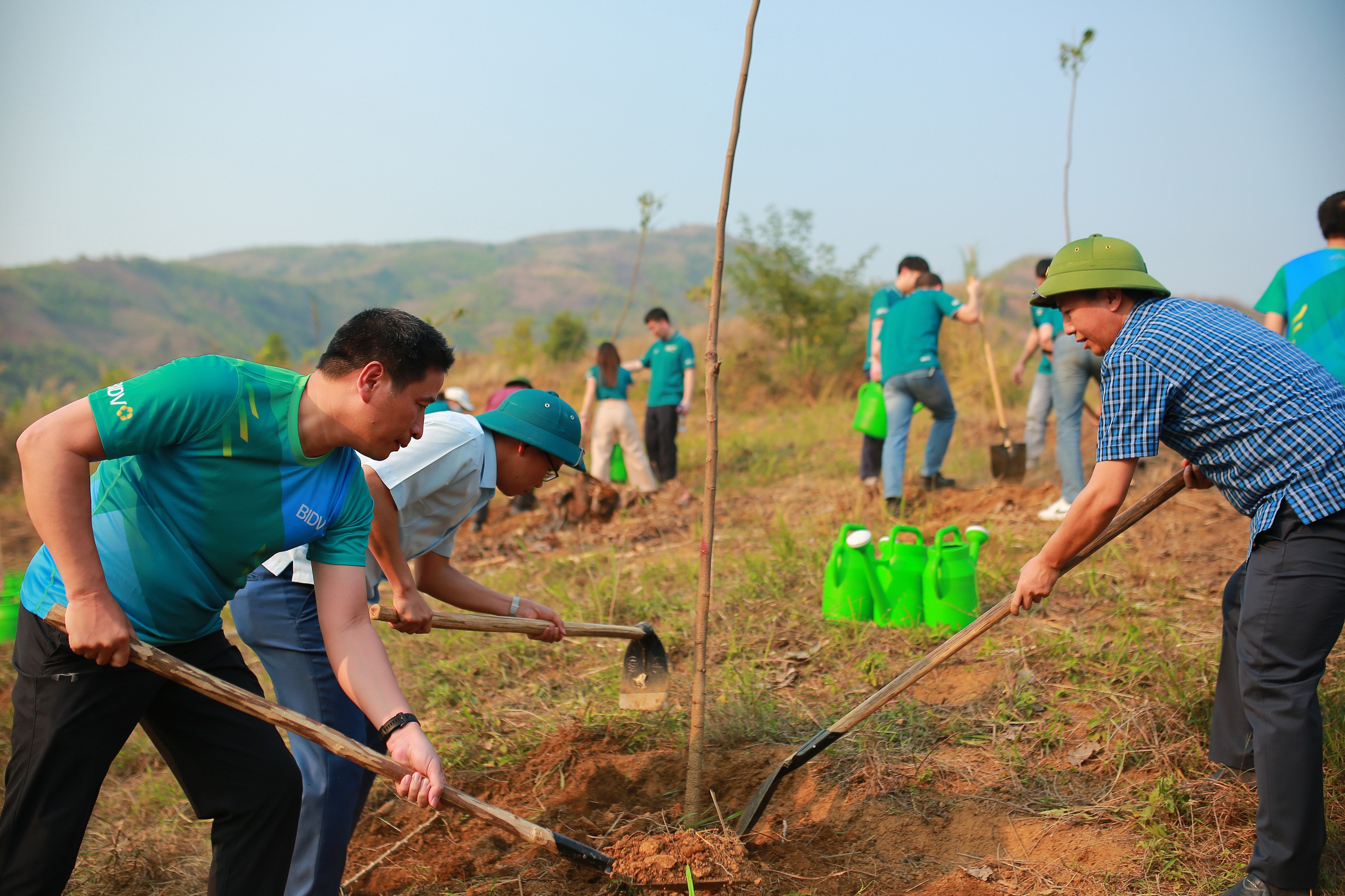 Kinh tế - BIDV trồng cây xanh tại Lai Châu (Hình 2).