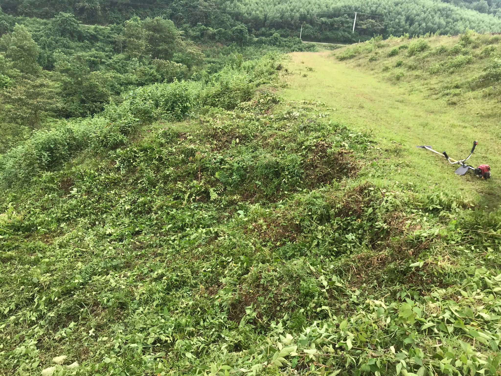 Đời sống - Hồ chứa nước Mục Bài xuống cấp nghiêm trọng nguy cơ mất an toàn mùa lũ (Hình 4).