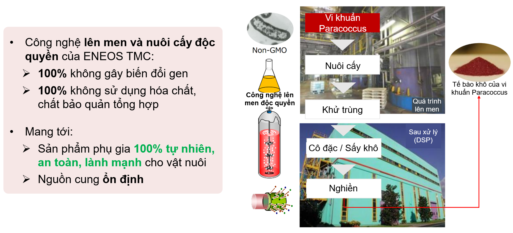 Cần biết - Panaferd-AX - Giải pháp tự nhiên giúp tôm khỏe đẹp đến từ Nhật Bản (Hình 3).