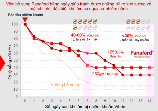 Cần biết - Panaferd-AX - Giải pháp tự nhiên giúp tôm khỏe đẹp đến từ Nhật Bản (Hình 7).