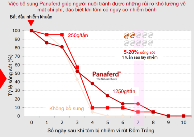 Cần biết - Panaferd-AX - Giải pháp tự nhiên giúp tôm khỏe đẹp đến từ Nhật Bản (Hình 8).