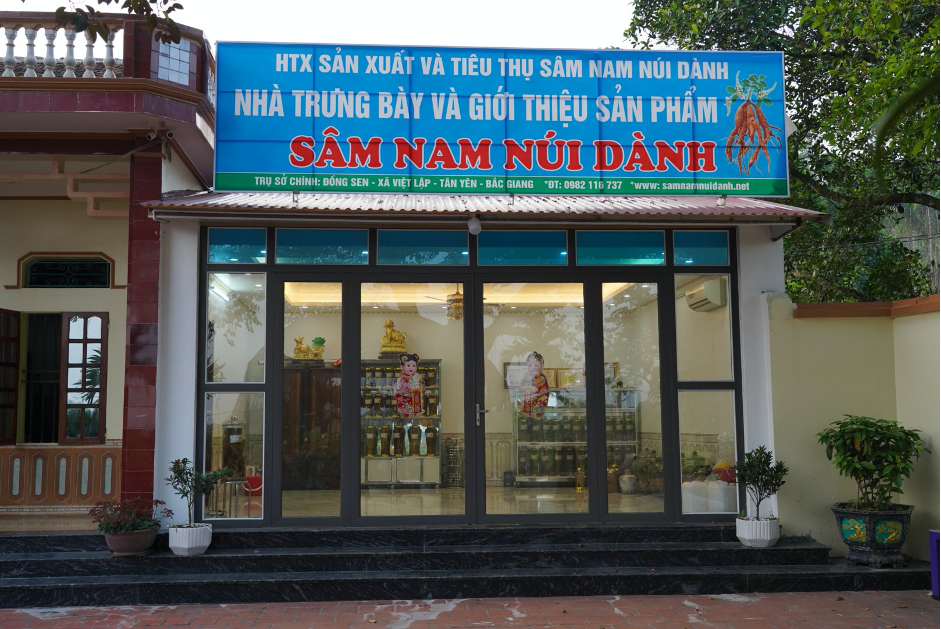 Cần biết - Sâm Nam núi Dành: Gìn gữ và bảo tồn sản vật tiến vua (Hình 6).