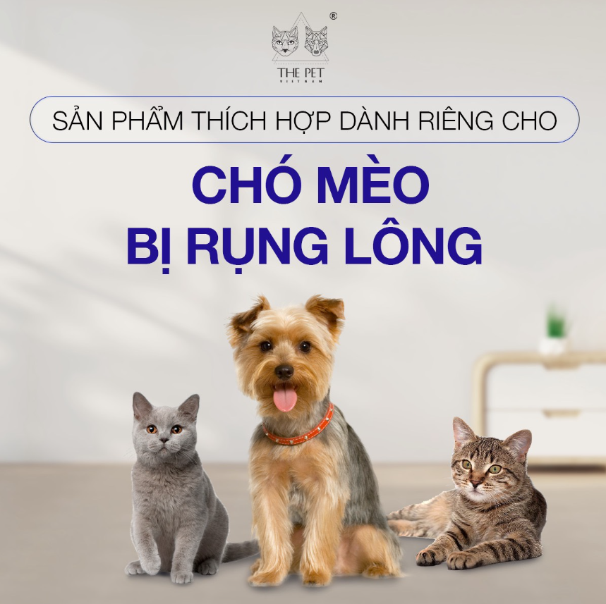 Cần biết - The Pet Vietnam: Ra mắt menu pate tươi chăm sóc da và lông chó mèo  (Hình 3).