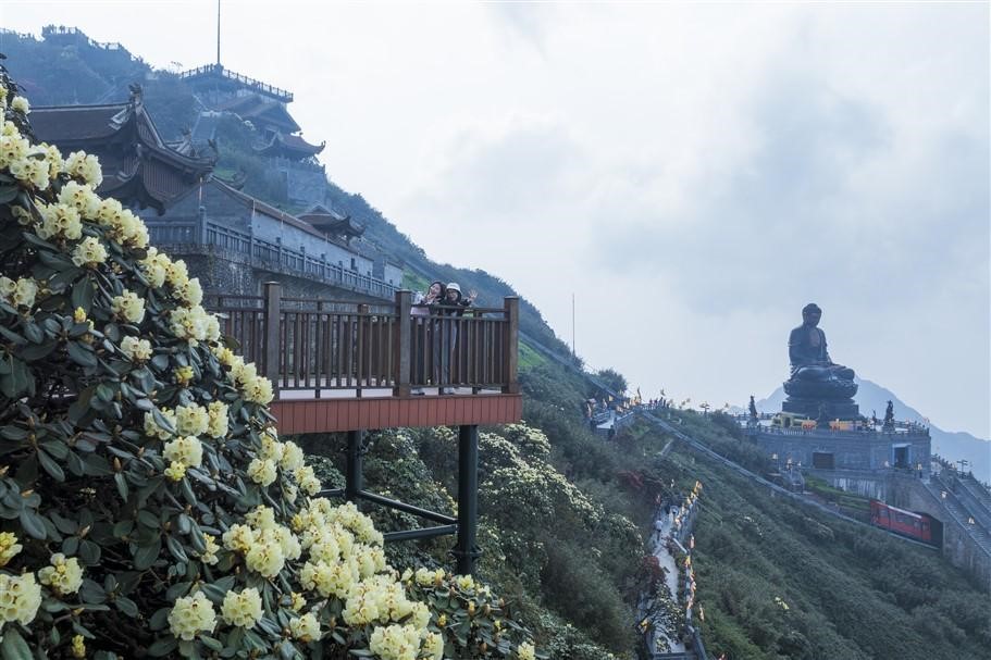 Kinh tế - Đường hoa Đỗ quyên trên đỉnh Fansipan đẹp tựa chốn thiên đường, hút hàng nghìn lượt khách check in (Hình 9).