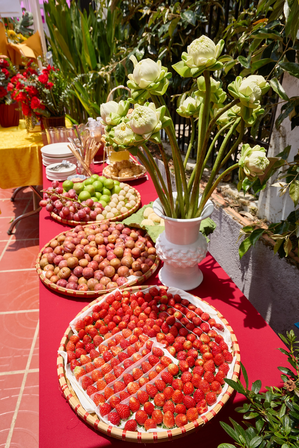 Cần biết - Trần Nguyễn Trà Đạo khai trương chi nhánh Đà Lạt (Hình 8).