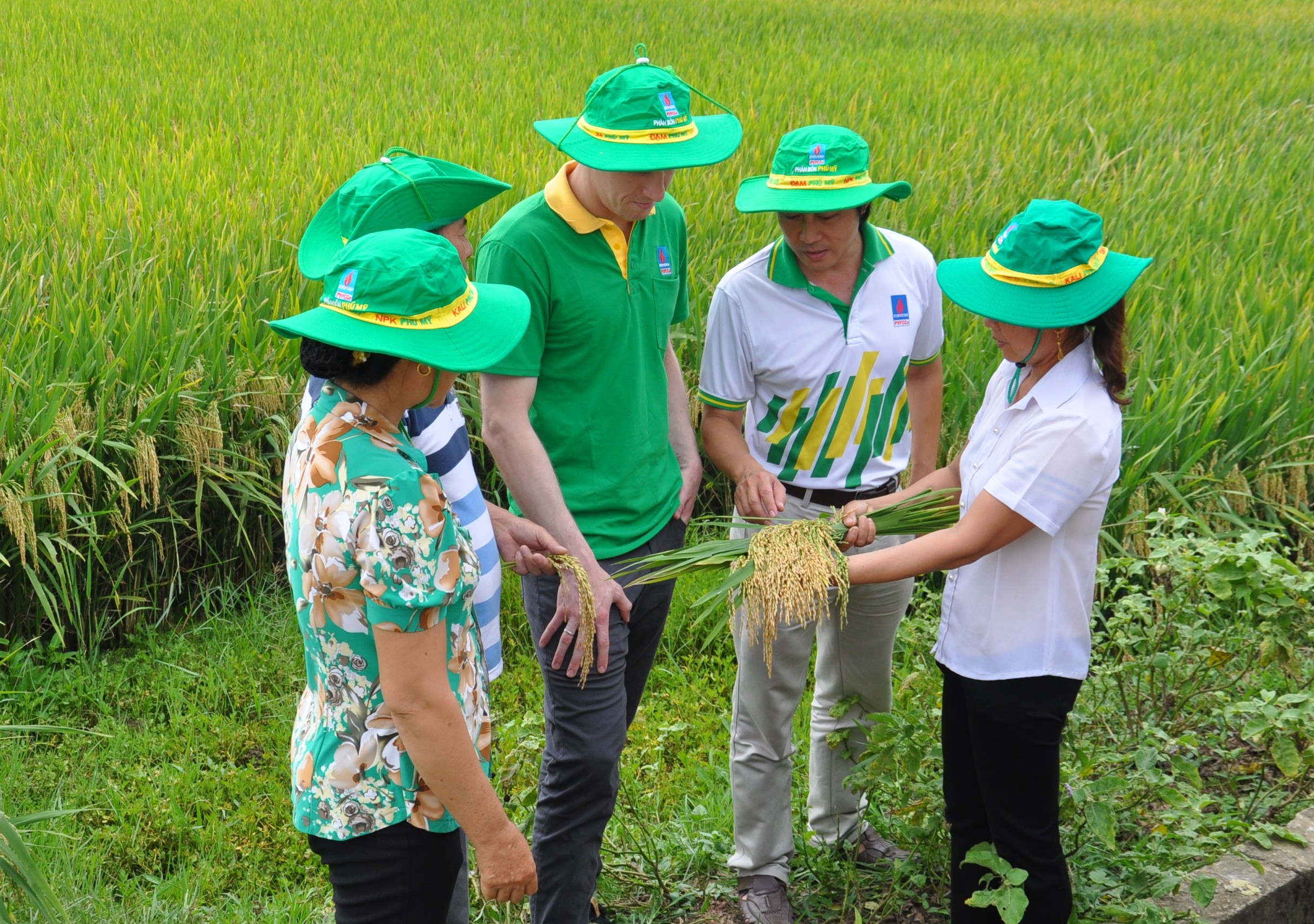 Kinh tế - Đã đến lúc không thể không sửa đổi Luật 71 (Hình 3).