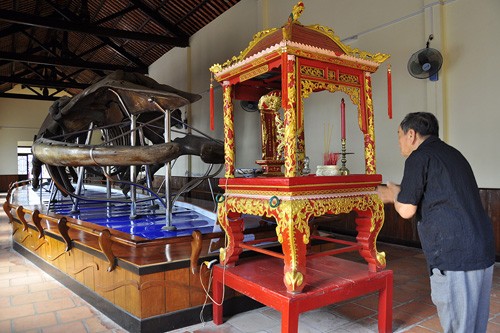Công nghệ - Cận cảnh bộ xương cá Ông lớn nhất Việt Nam (Hình 4).