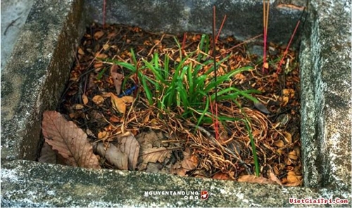 Công nghệ - Bí ẩn ngôi mộ cổ trong trường ĐH Bách khoa TPHCM (Hình 2).