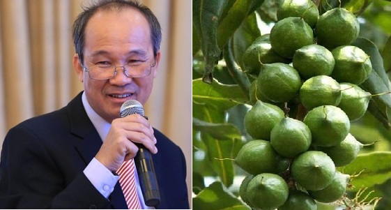 Kinh doanh - 'Mốt' làm nông dân – Bài 4: Sếp Him Lam 'bỏ' golf 'chọn' mắc ca