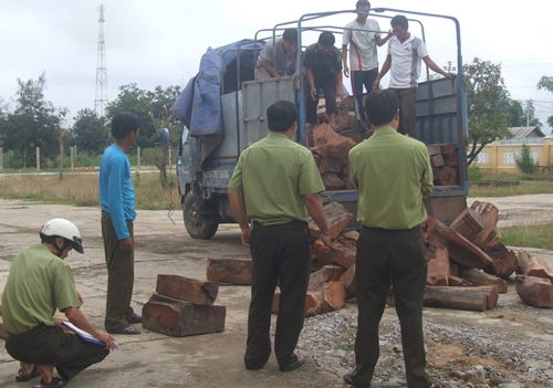 Pháp luật - Thâm nhập đường dây buôn lậu gỗ trắc từ Campuchia về Việt Nam