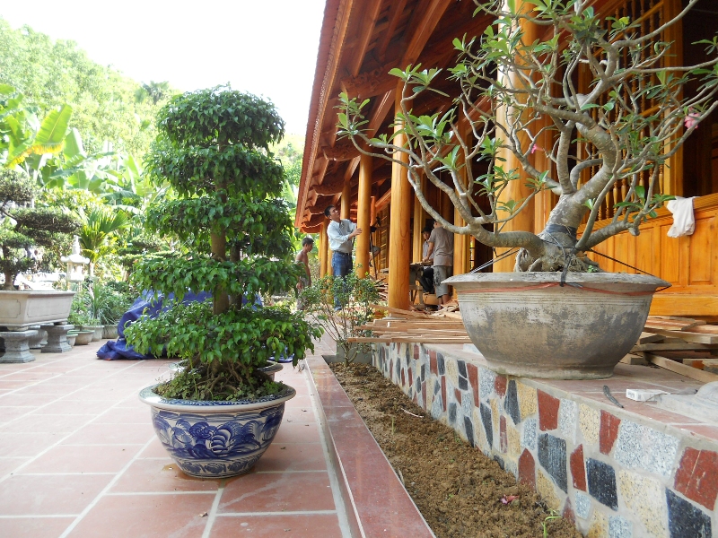 Xã hội - 13 bức ảnh để đời và sự tụt dốc không phanh của vị Chủ tịch tỉnh