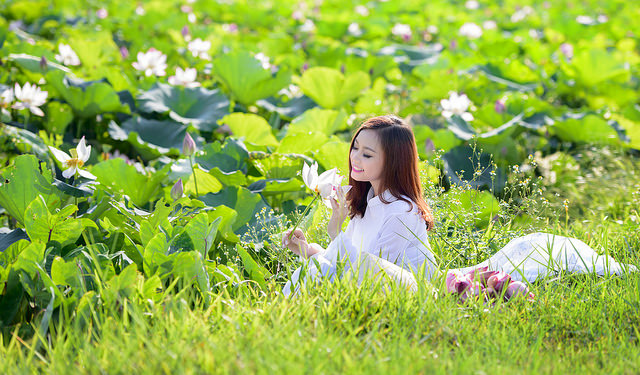 Xã hội - Thiếu nữ 9X ‘e ấp’ bên cánh đồng sen Bắc Ninh (Hình 10).