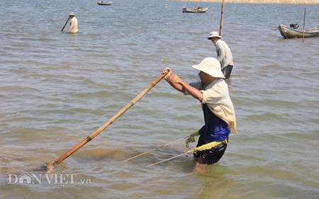 Xã hội - 10 tiếng dầm mình cào don trên sông kiếm nửa triệu (Hình 4).