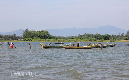 Xã hội - 10 tiếng dầm mình cào don trên sông kiếm nửa triệu (Hình 5).