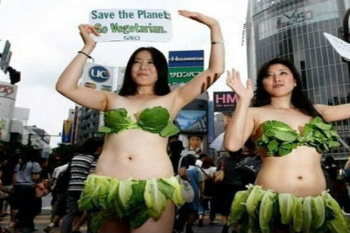 Xã hội - Thiếu nữ mặc bikini rau xuống phố, kêu gọi bảo vệ động vật (Hình 7).