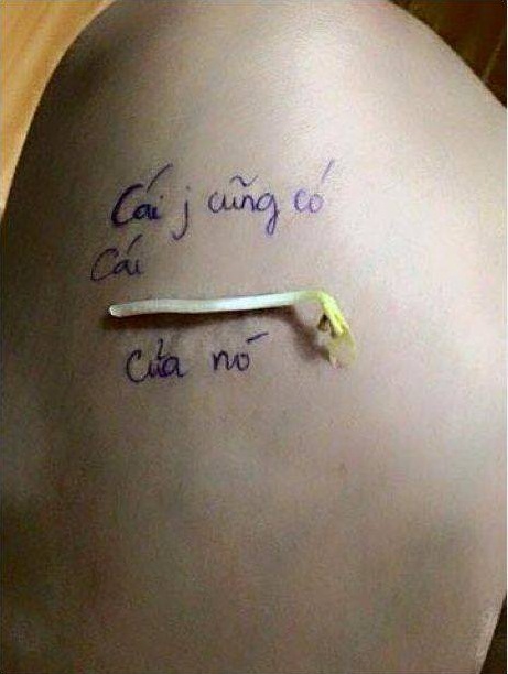Giải trí - Trào lưu ‘đuổi hình bắt chữ’ gây sốt mạng Việt (Hình 4).